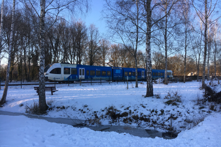 vechtdallijn in de sneeuw